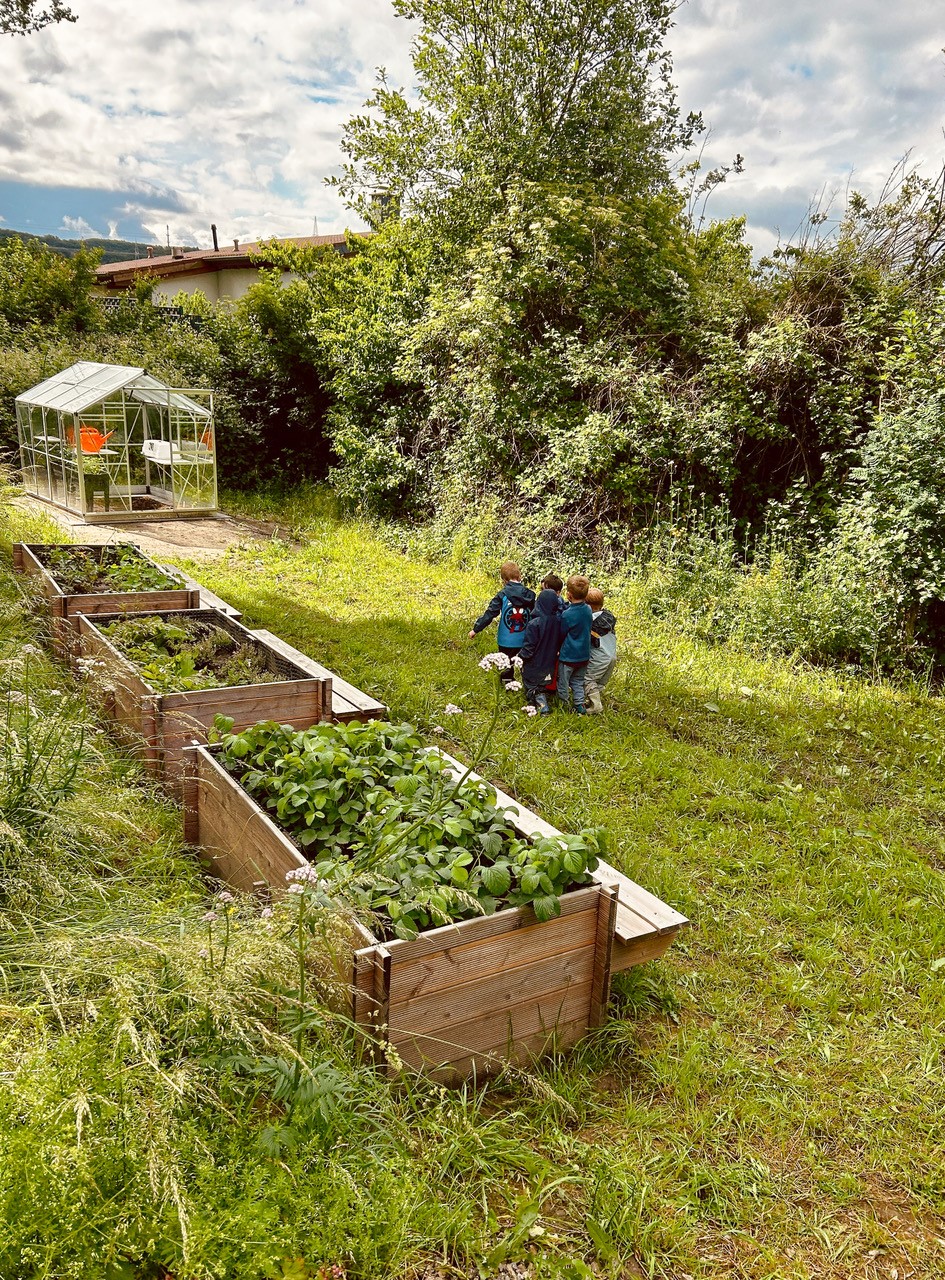 Bild_GreenTeam_4.jpg